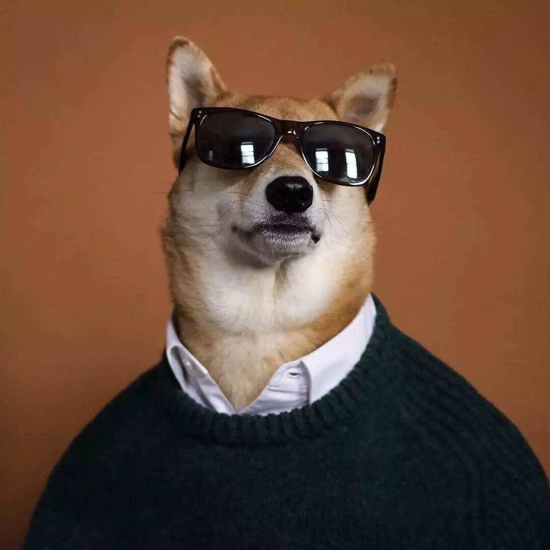 有哪些适合男生用的超级酷的微信头像