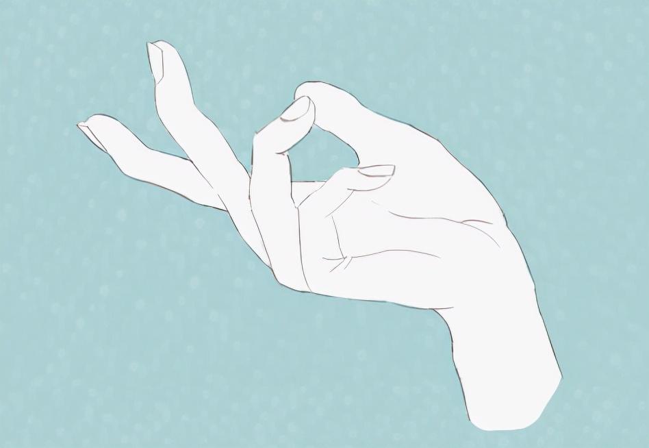 自学画画推荐画手基础入门攻略手部基础画法结构教学