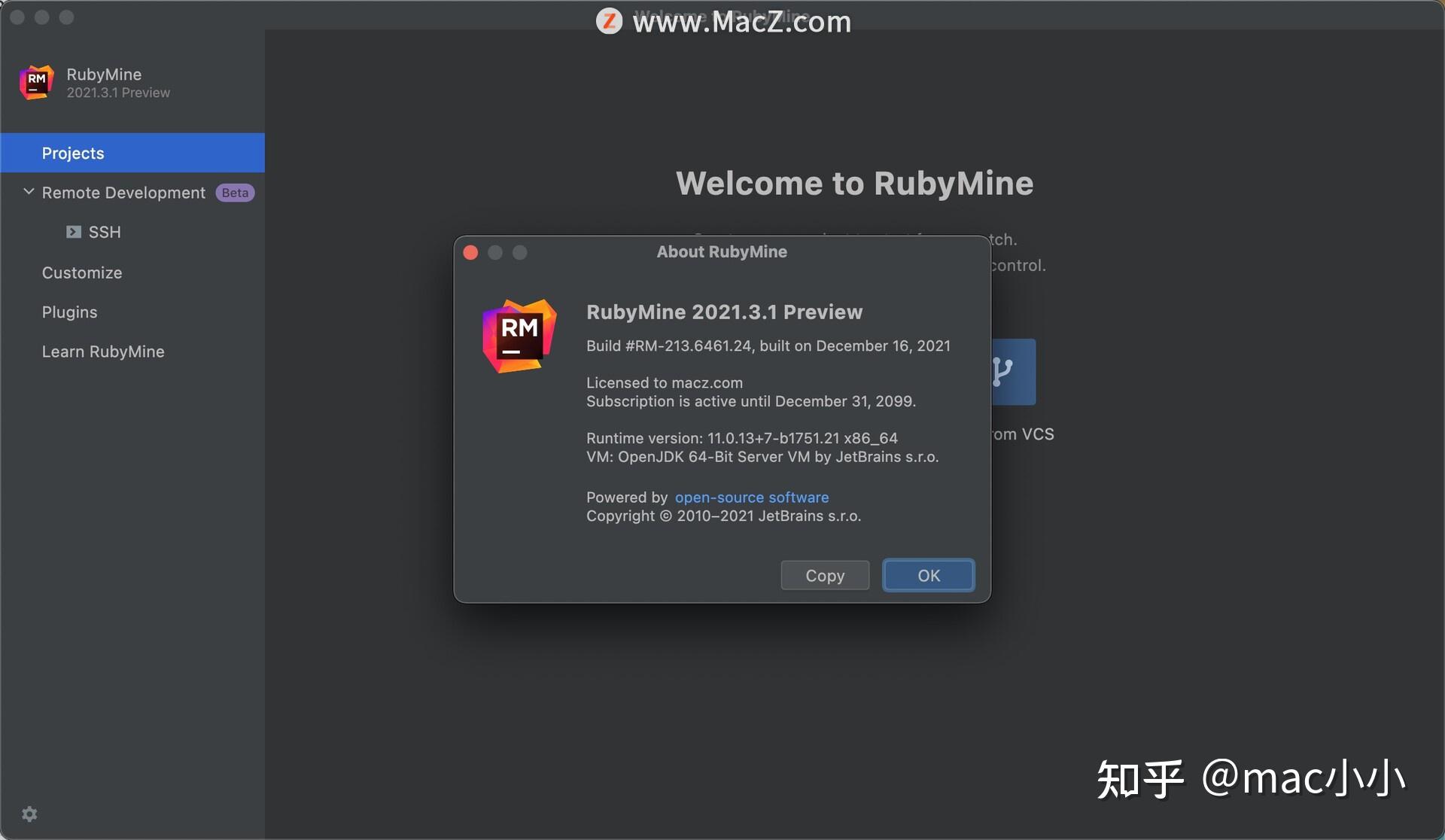 JetBrains RubyMine 2023.1.3 instal the new version for mac