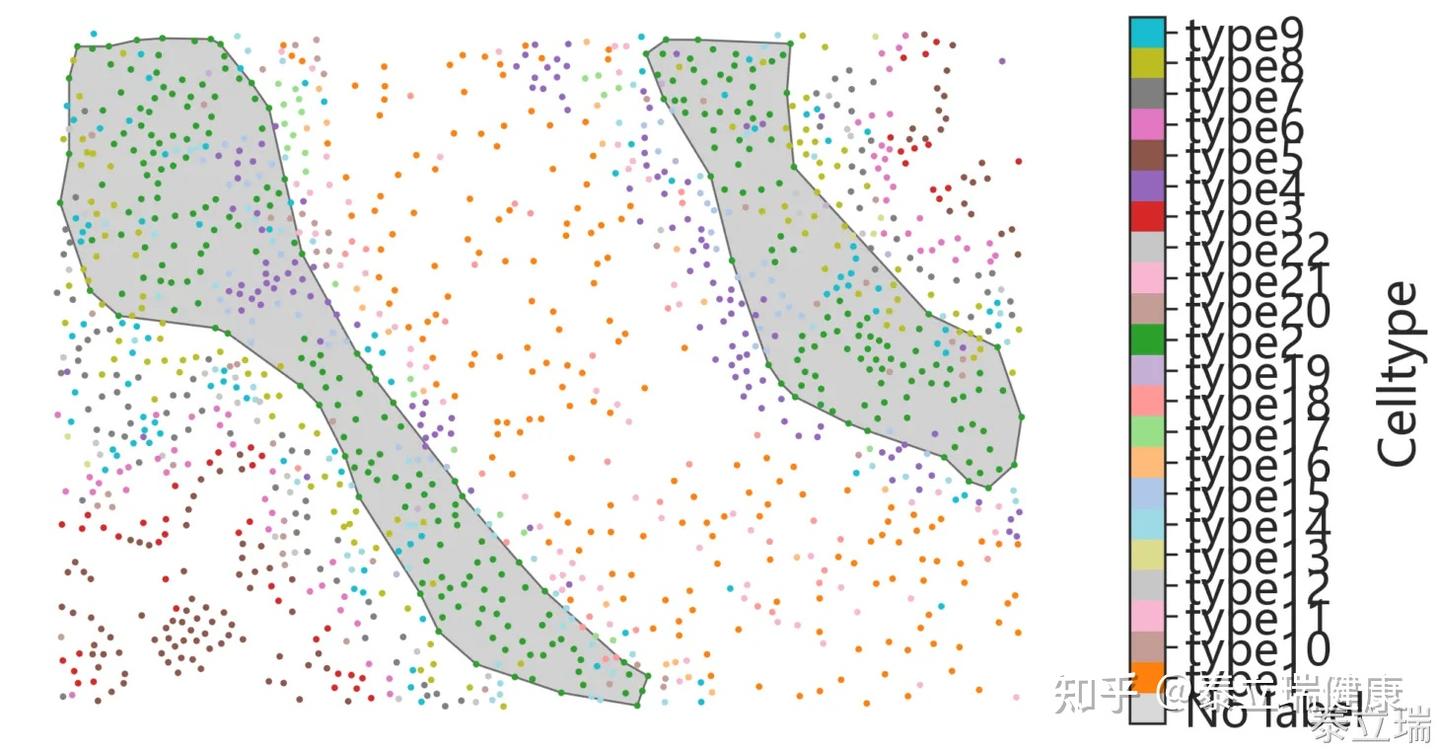 第四篇.Qupath插件-泰⽴瑞Spa空间生物学分析操作手册（3） - 知乎