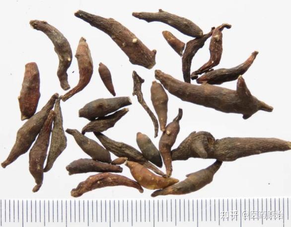 两头尖两头尖药材【性状】本品呈类长纺锤形,两端尖细,微弯曲,其中近