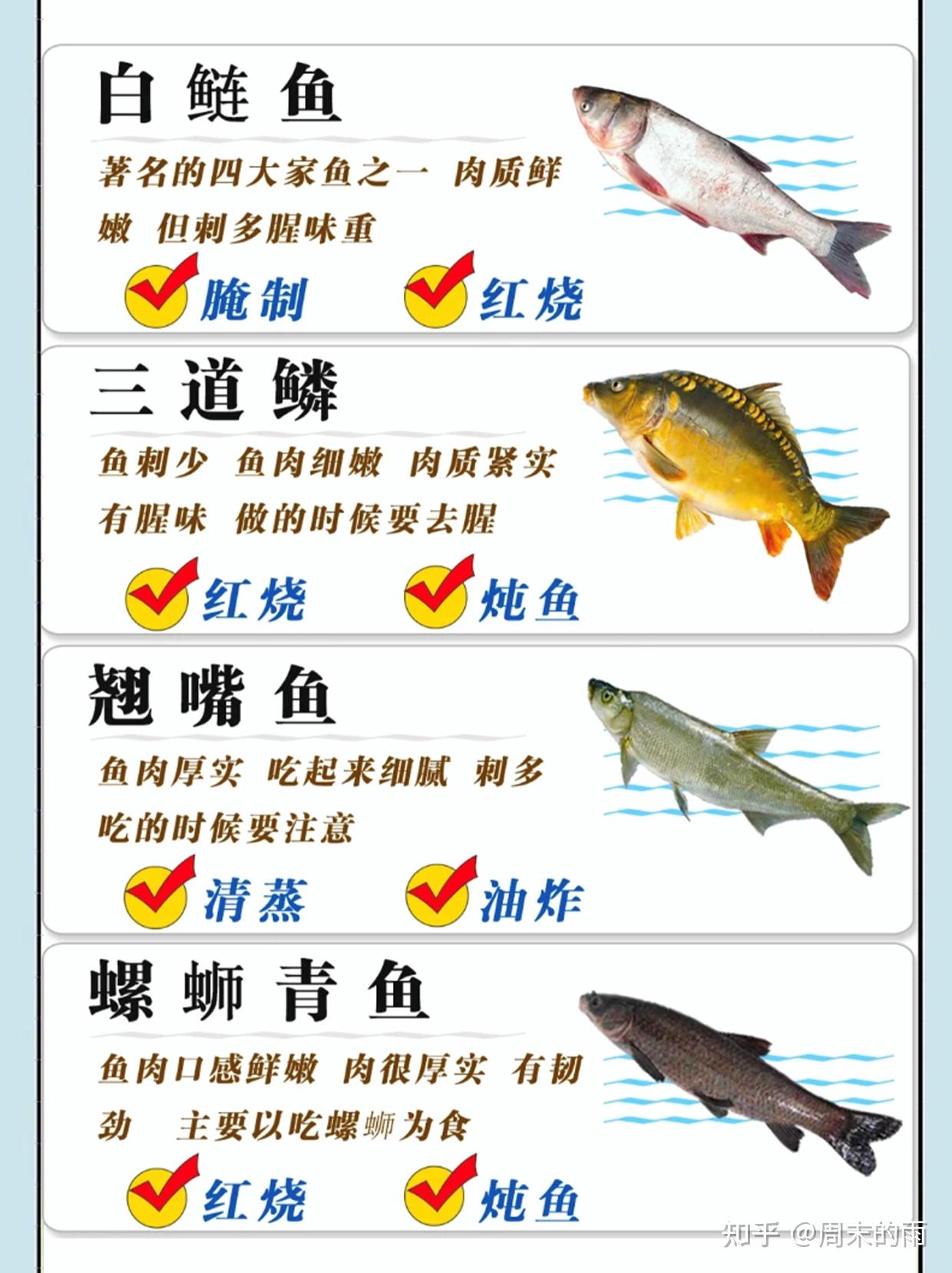 广东淡水鱼种类及图片,淡水鱼种类图片及名称_文秘苑图库