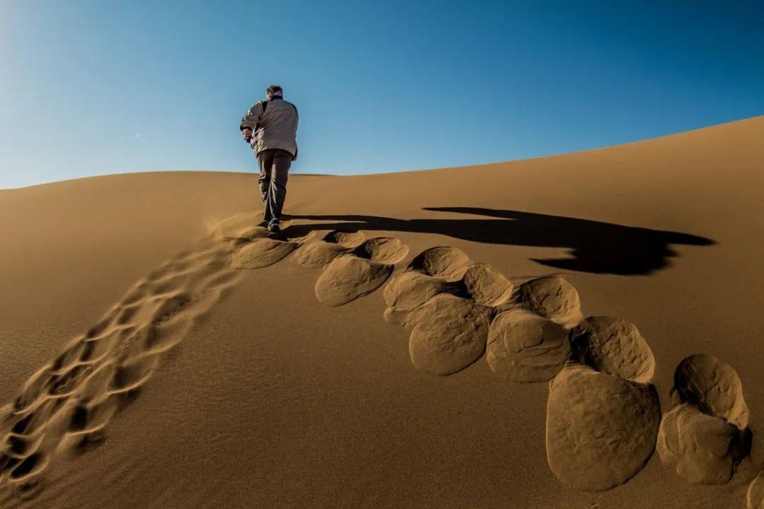 胜算深度解析