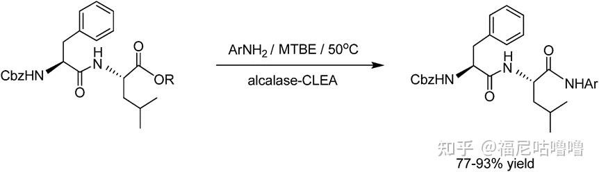 “Enzyme Immobilisation In Biocatalysis: Why, What And How”论文翻译 - 知乎