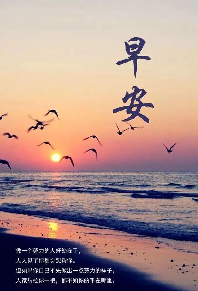 8月6日清早慰问大家的早上好漂亮表情图片最美早晨好问候祝福语图片