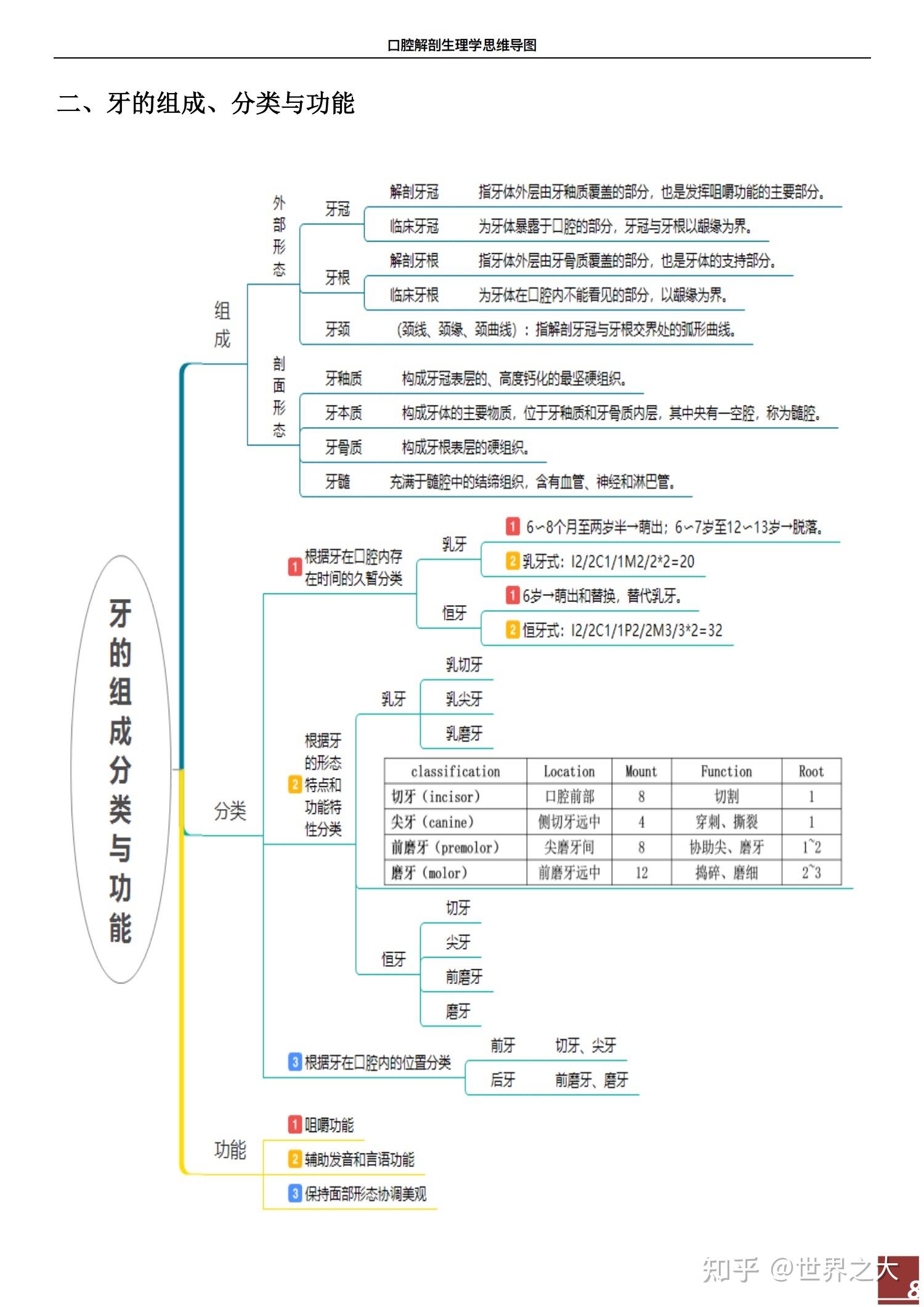 《口腔解剖生理学》思维导图 - 知乎