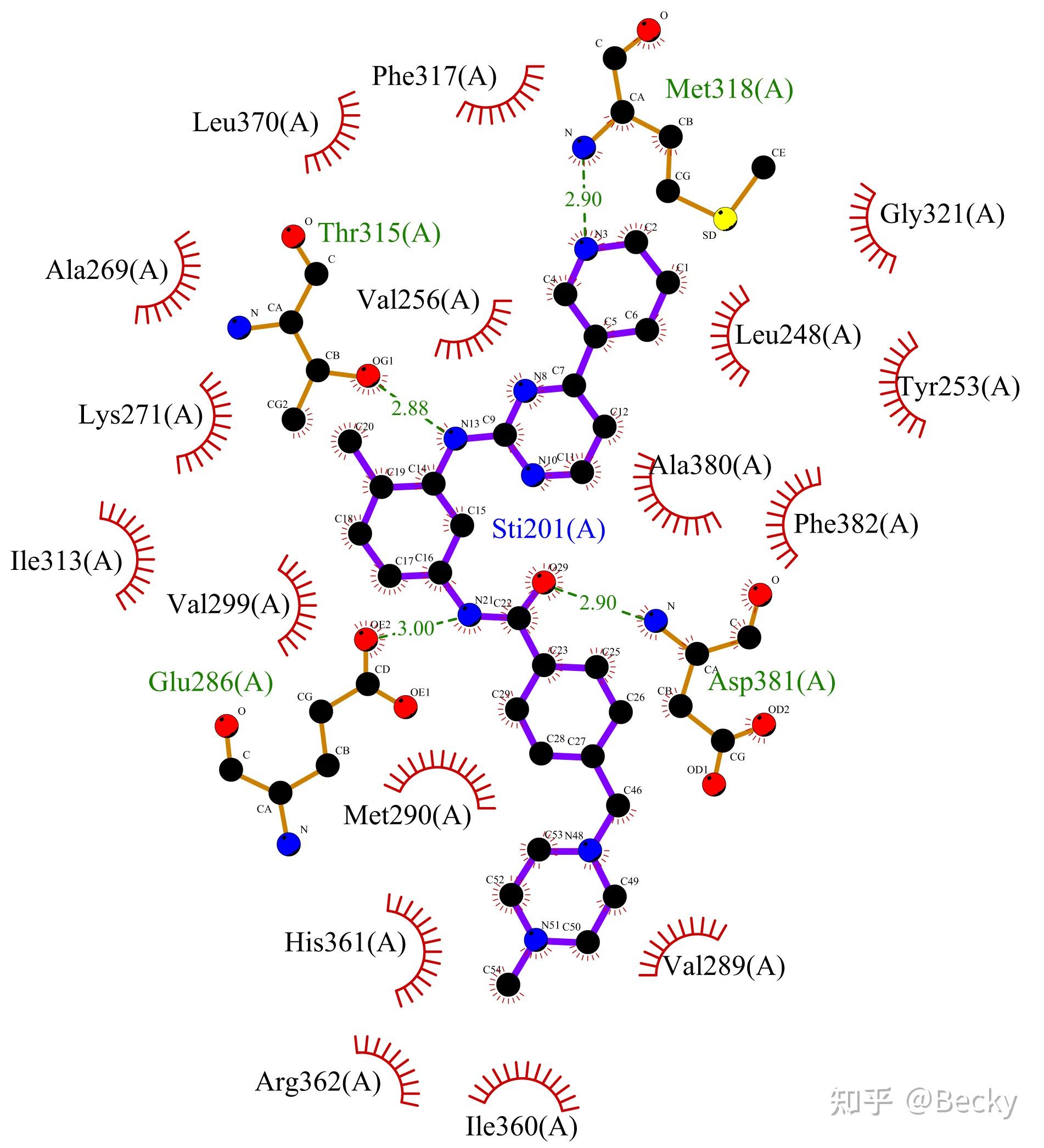 制作"蛋白-小分子"2d相互作用图方法汇总 - 知乎