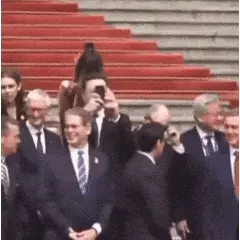 动图