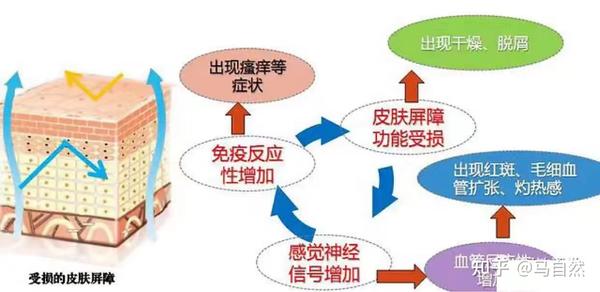 为什么头皮总是搔痒,皮肤科医生告诉你真相,帮你解决头痒问题 - 知乎