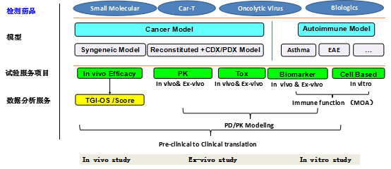 抗体药pk/pd - 知乎