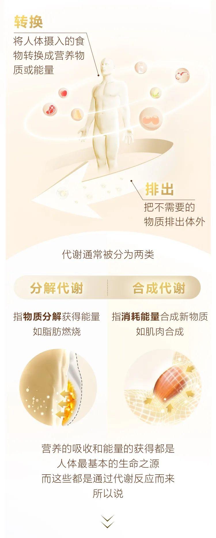 营养知识｜新陈代谢是什么？为什么越来越多的年轻人有代谢问题？ - 知乎
