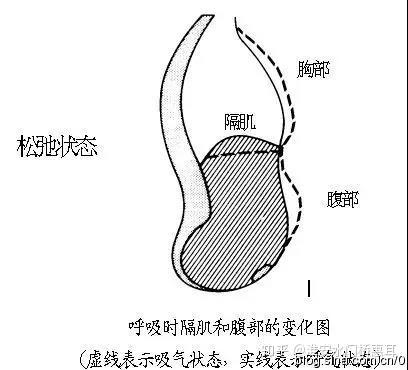 v2-c906fb9ffe3d558f8fcdfb0523839eee_b.jpg