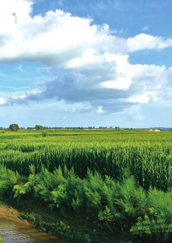 山水背后的王维是中国软弱阶层的代表