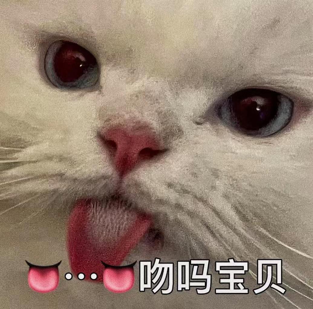 可爱但涩涩的表情包