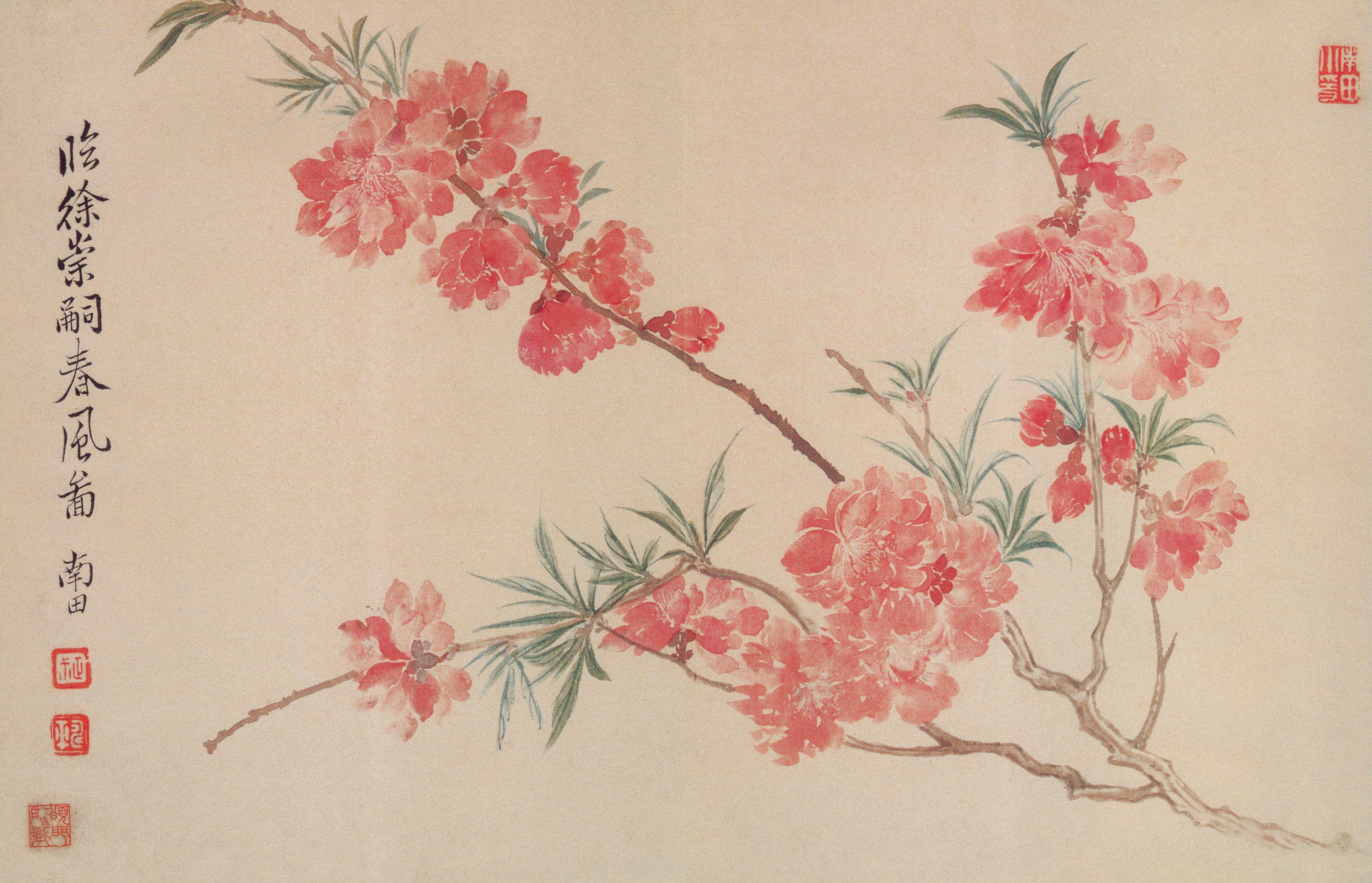 写意花鸟画入门(初学防踩雷)