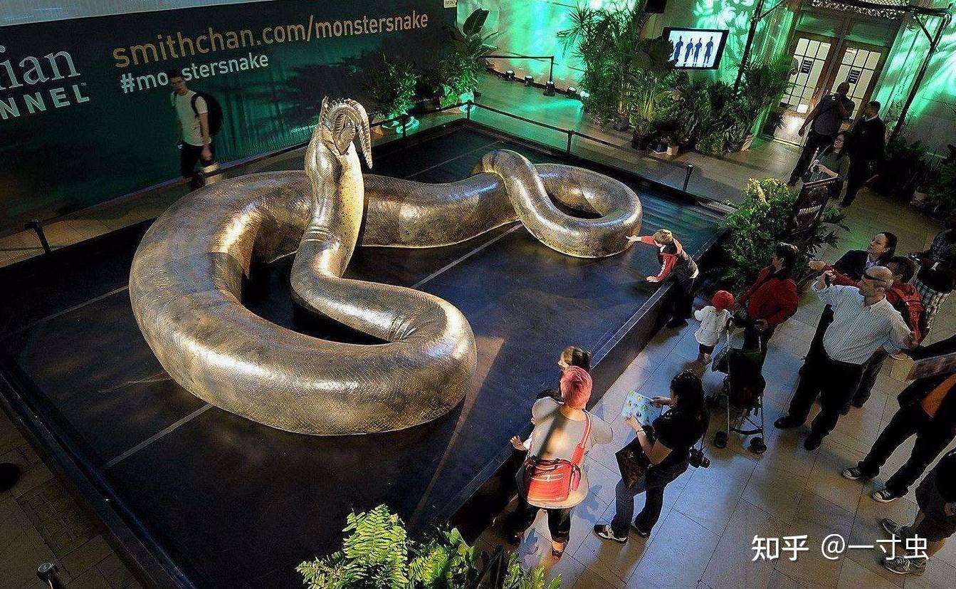 'Titanoboa: Monster Snake' slithers into Morrill Hall Feb. 22 | News ...