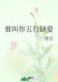 图标