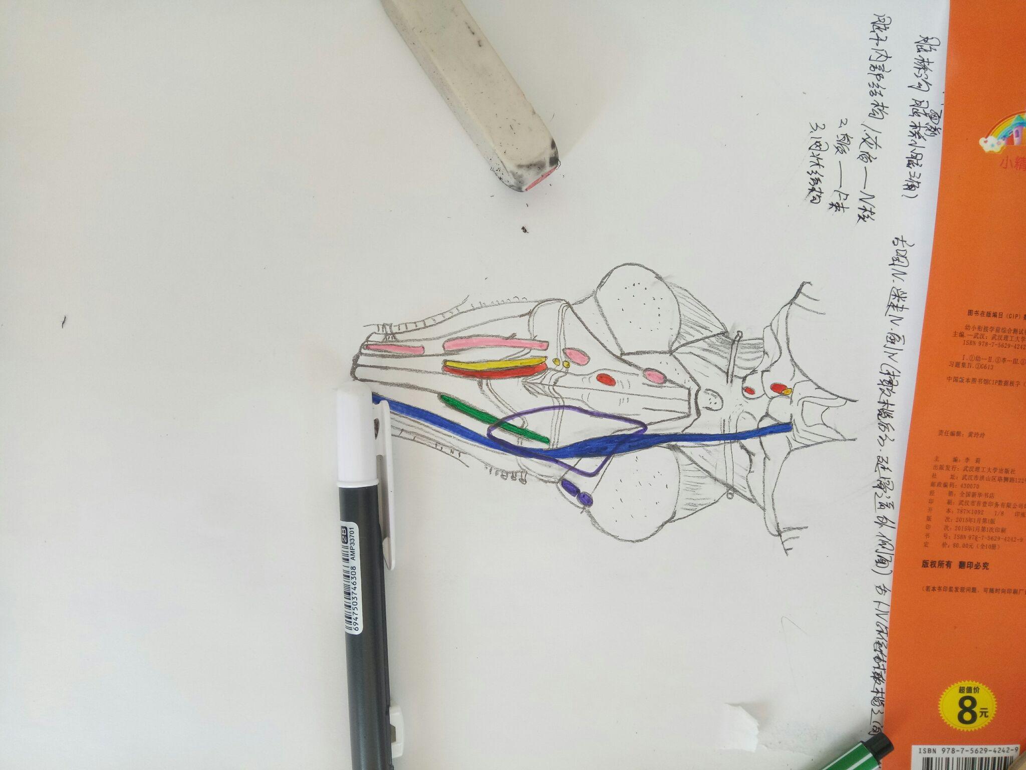 学医后,对你人生最大的影响或改变是什么?