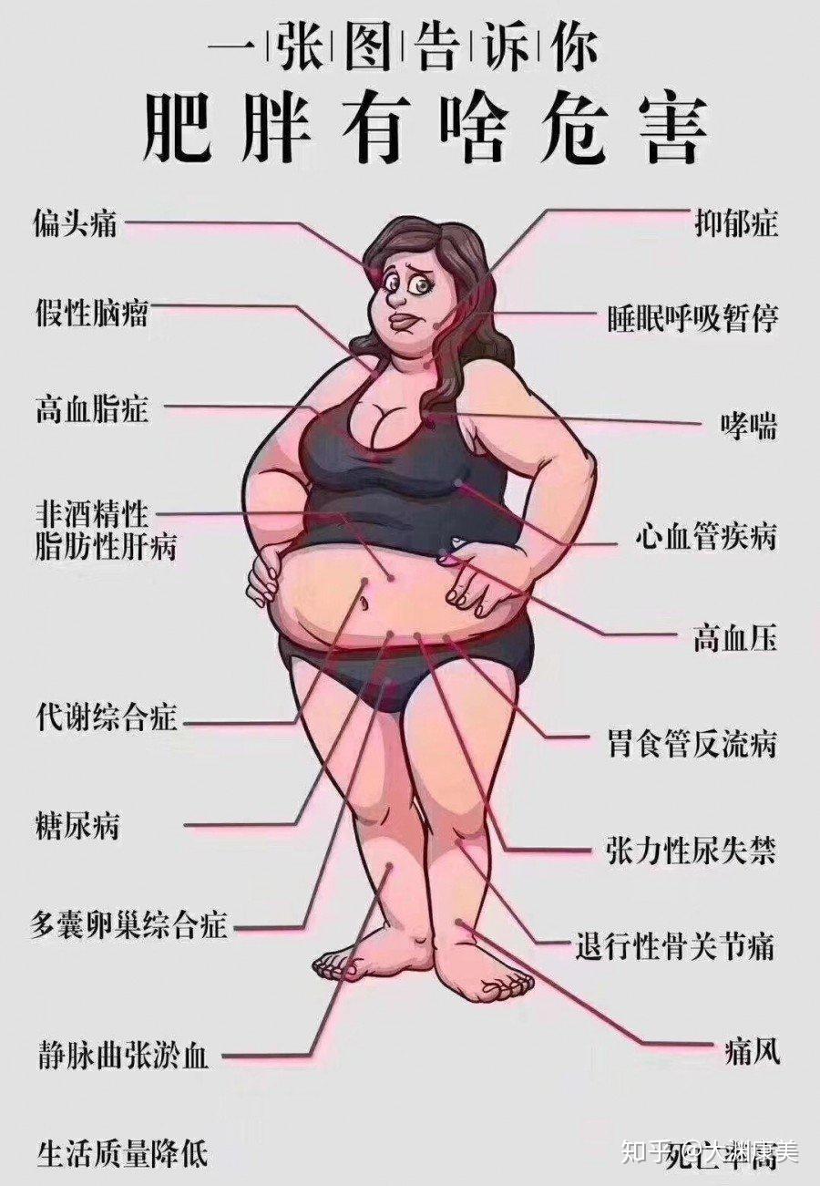 肥胖成为全球性健康威胁,饮食模式怎么选?怎么吃才健康?