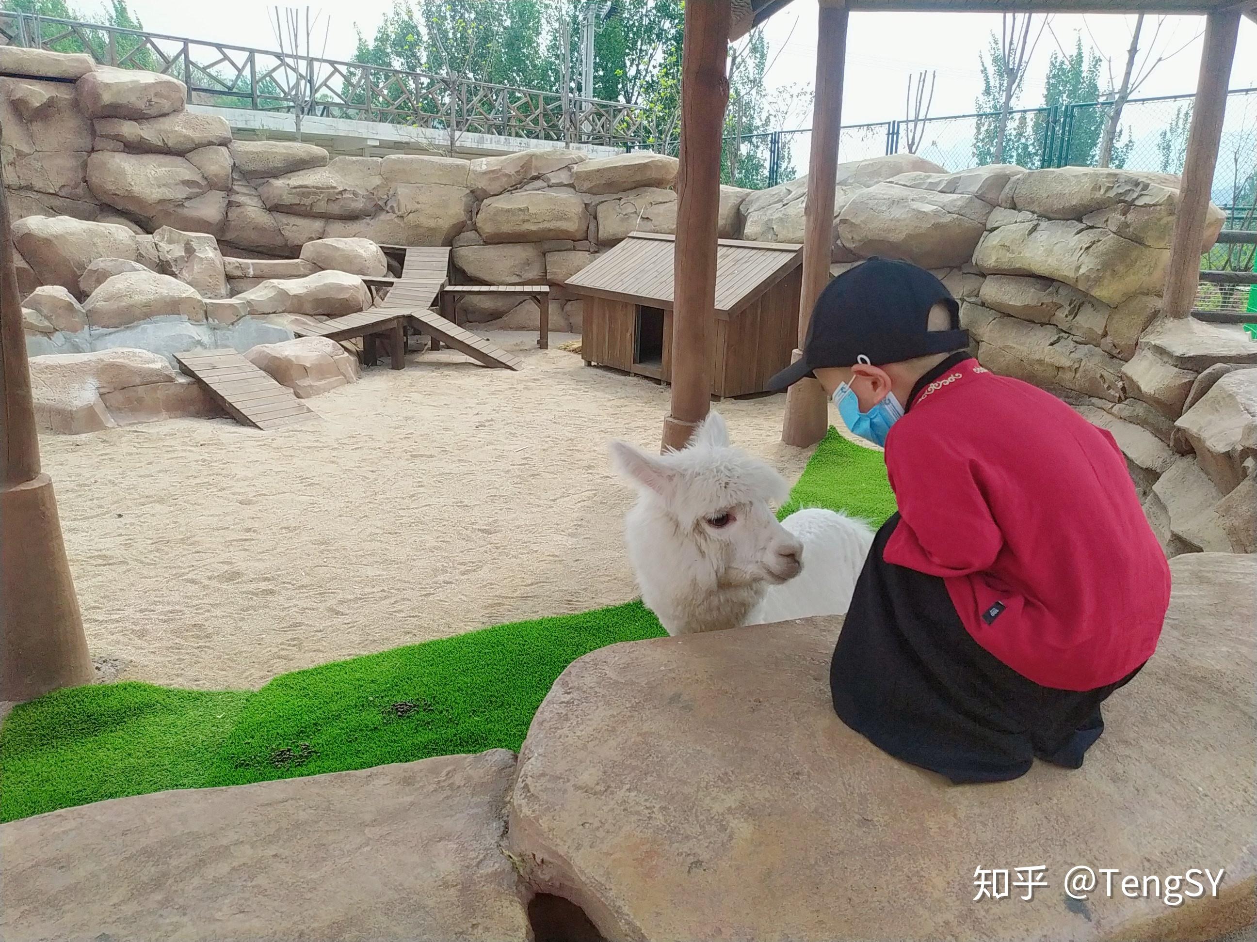 承德亲子游清河源萌宠与您欢度儿童节