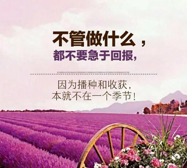 人的一生中哪天最重要 - 知乎