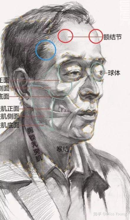 额头难看 眉骨高怎么办? - 知乎