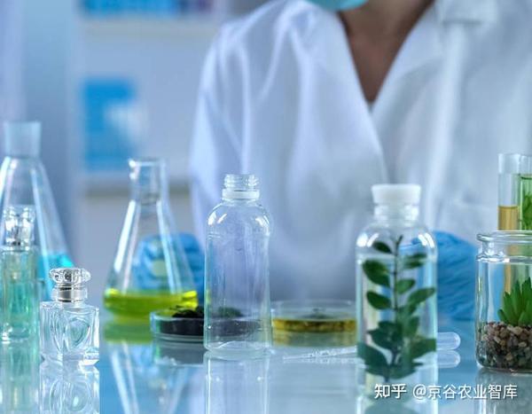 十大热门提取物 - 知乎