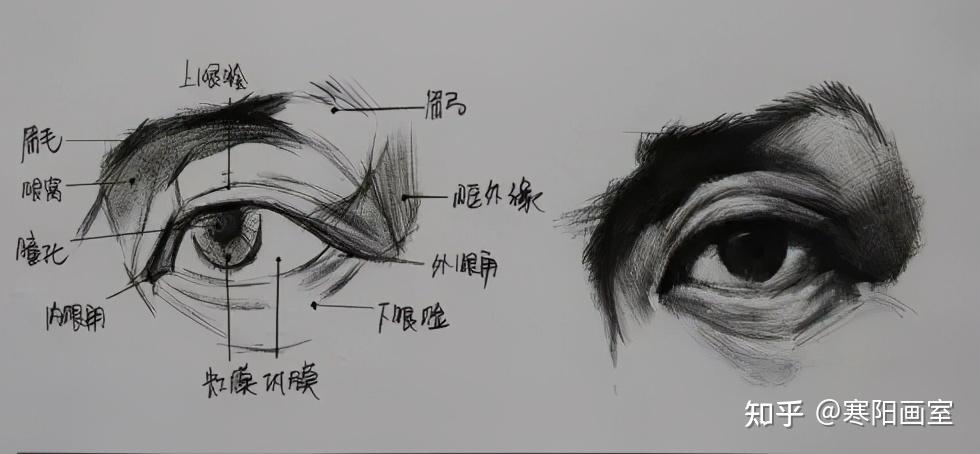 在整個眼睛中,瞳孔是最暗的,注意上下眼瞼的厚度,眼睛的結構和眼袋的