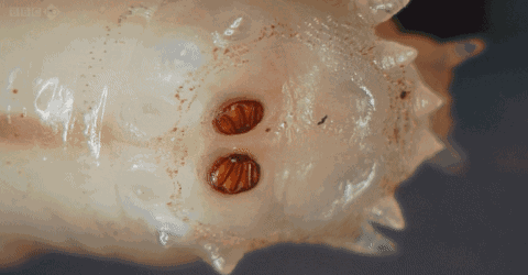 480_250gif 动态图 动图