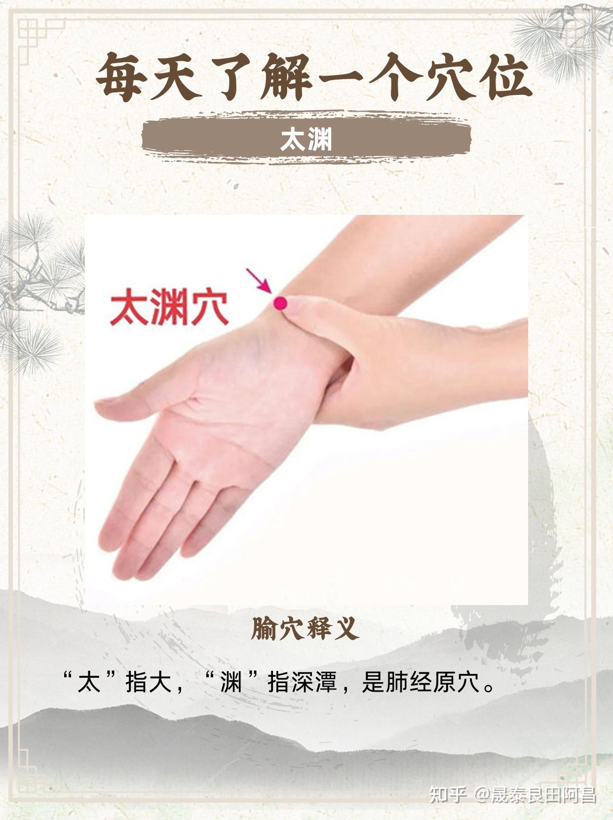太渊穴:手太阴肺经上的“呼吸守护者”,缓解咳嗽与胸痛 - 知乎