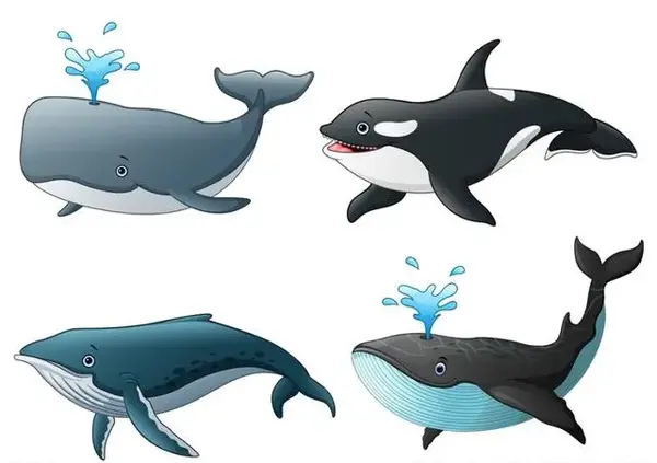 海马man是海马吗_海马和鲸鱼哪个是真正的鱼_彩虹鱼和大鲸鱼