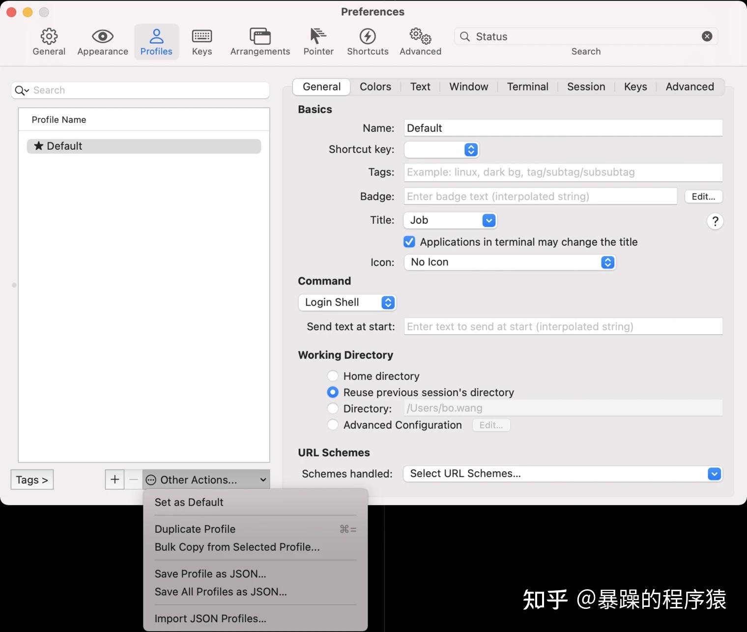 打造一个高效的开发终端【Mac 篇】 - 知乎