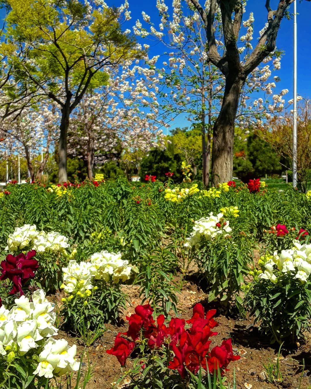 我的母校菲尔多西大学ferdowsiuniversityofmashhad