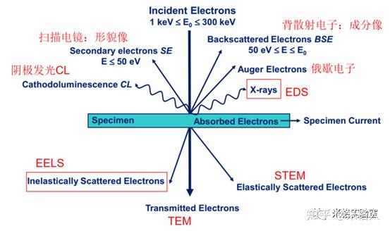 【技术服务】EDS（Energy Dispersive Spectrometer） - 知乎