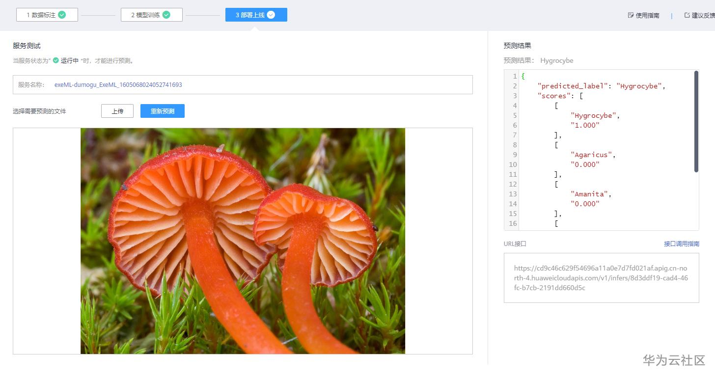 手把手教你使用ModelArts的自动学习识别毒蘑菇分类 手把手教你使用ModelArts的自动学习识别毒蘑菇分类