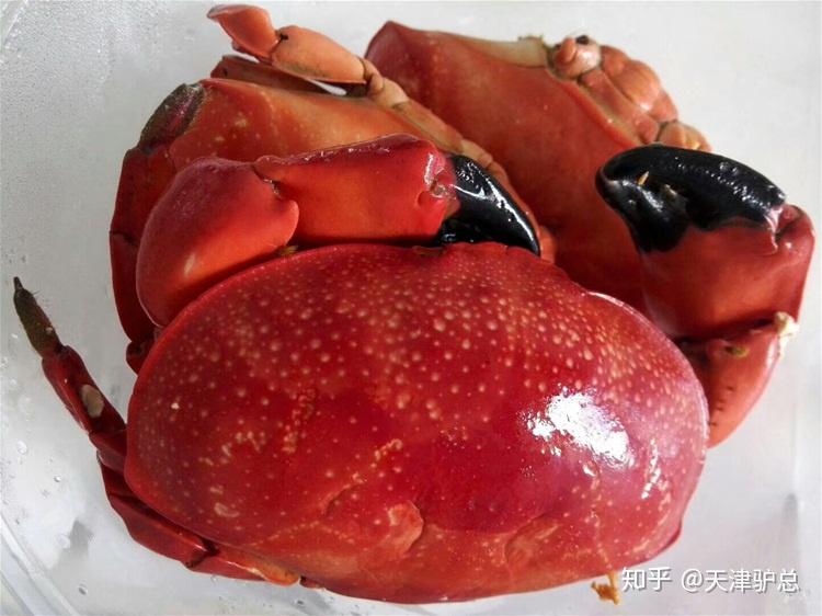 小面包蟹不好吃海南82