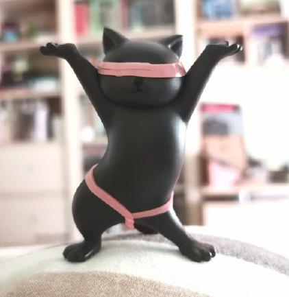 给妖娆猫穿上比基尼后只想说你好骚啊我好喜欢
