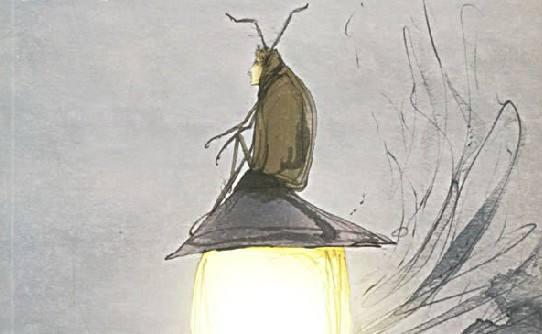 科普时间:变形记