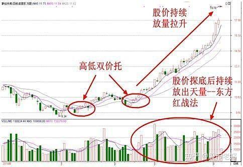 价托形态图片