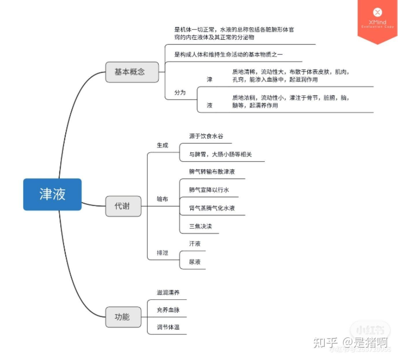 中医基础理论思维导图