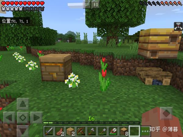 Minecraft生存指南 蜜蜂特辑 我的世界养蜂攻略 恩芝网