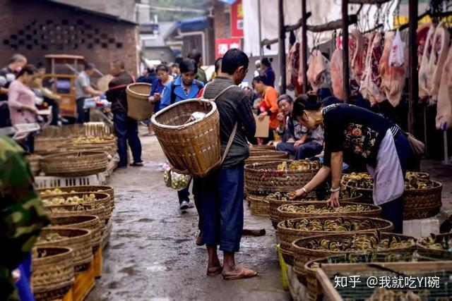 山胡椒到底是什么东西竟然那么受四川人青睐