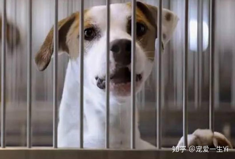 身上干燥起皮什么原因 v2-ca3b6d5520cdb3715e363dde9518a72a_r.jpg