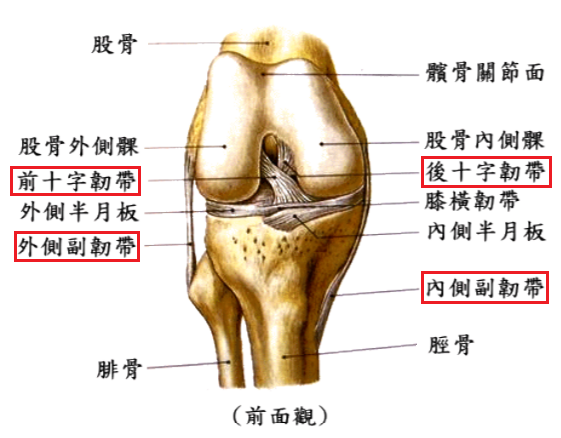 鬓骨的图图片