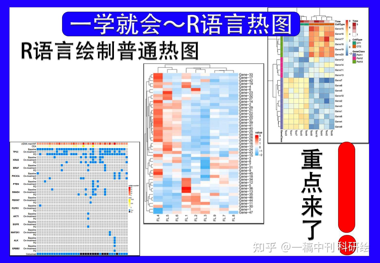 R语言绘图速成笔记教程分享!|简单上手的普通热图！ - 知乎