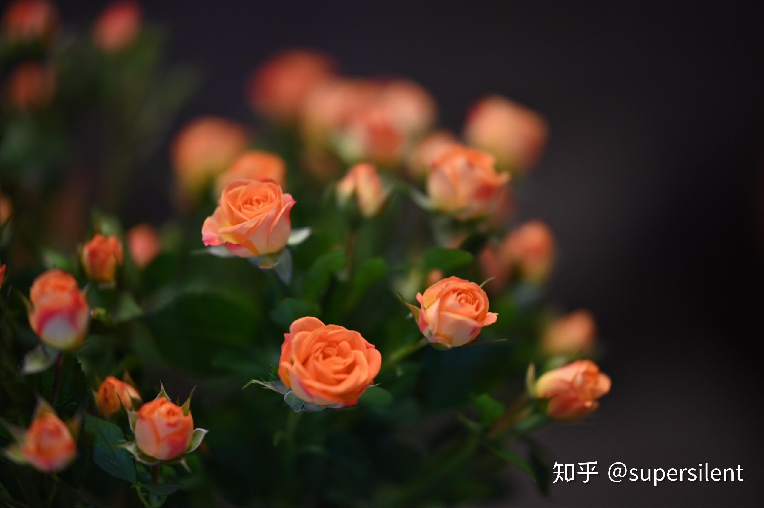 鏡頭買賣,收購鏡頭