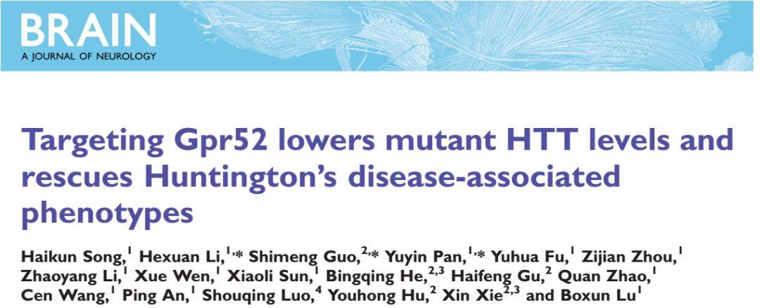鲁伯埙谢欣胡有洪合作团队筛选出亨廷顿症潜在小分子药物