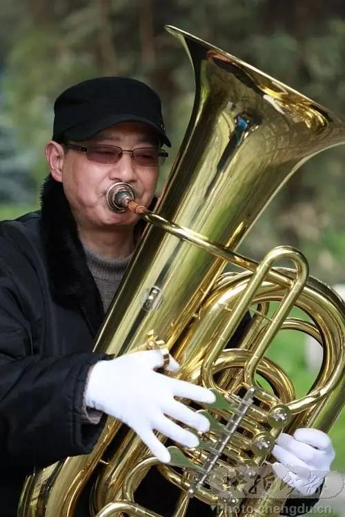 声音百科乐器篇低音号