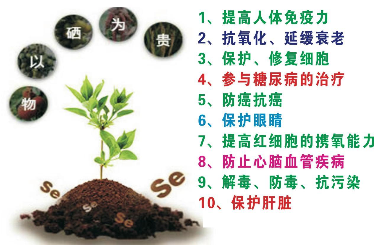 正常人补硒有害吗？我们应该如何正确补硒？ - 知乎