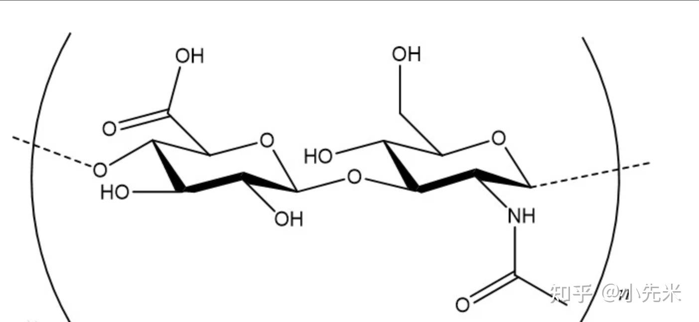 玻尿酸,又叫透明質酸.